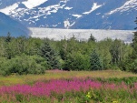 Mendenhall Glacier. The iconic photo for Juneau.
