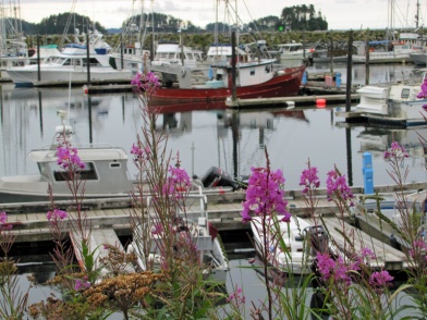 Fishing boats and fireweed in Sitka